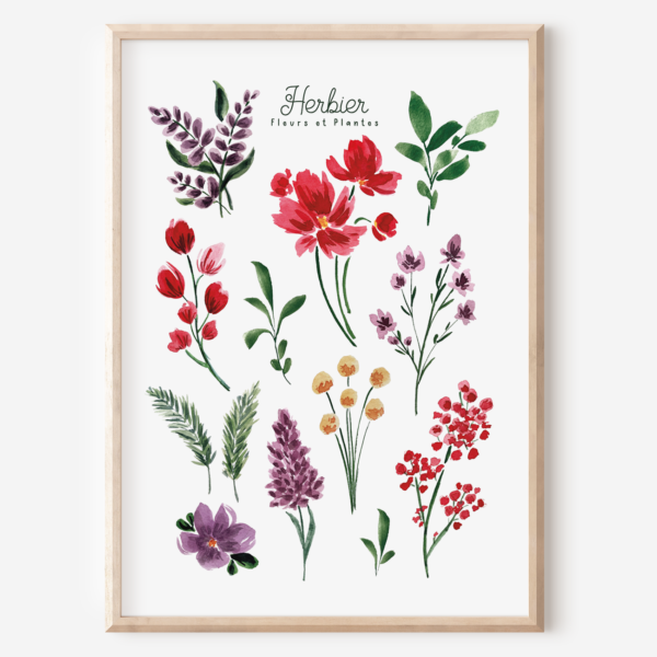 affiche herbier